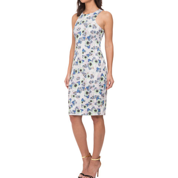 Whitney Eve Dresses & Skirts - Halter Neck Print Dress